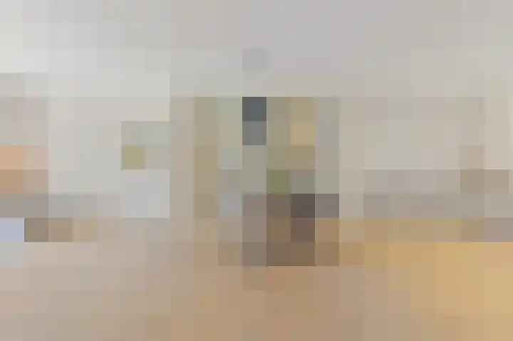 Dahliastraat 32 Rijswijk thumbnail 7