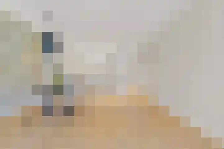 Dahliastraat 32 Rijswijk thumbnail 8