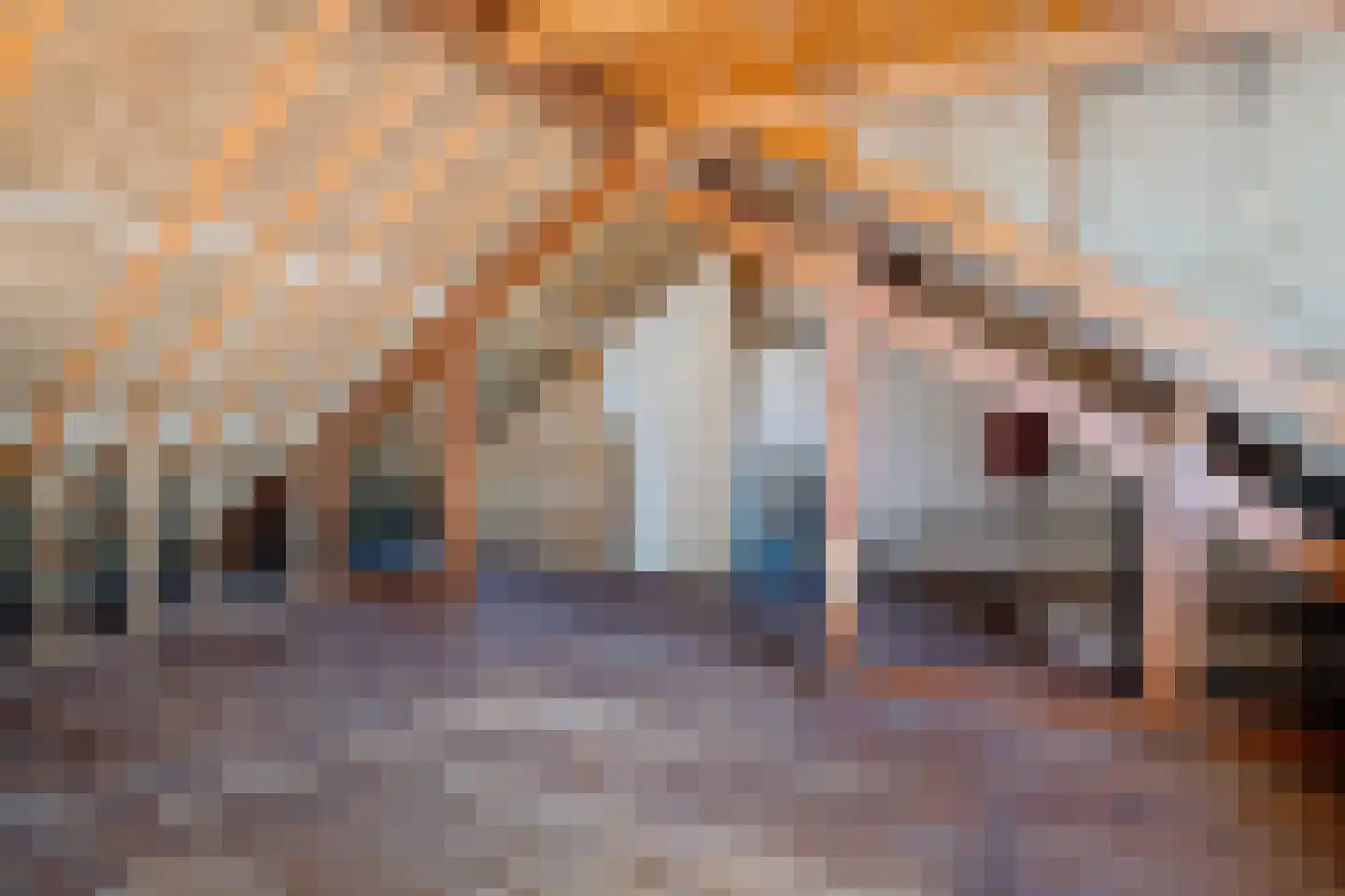 Dahliastraat 33 Hoogkarspel thumbnail 21