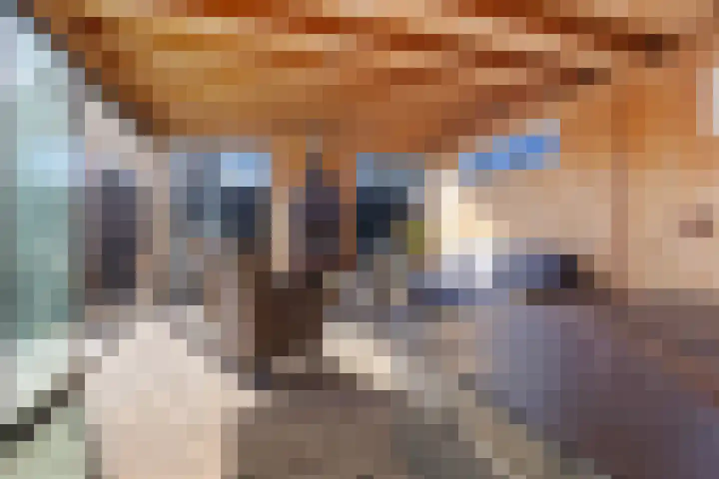Dahliastraat 33 Hoogkarspel thumbnail 25