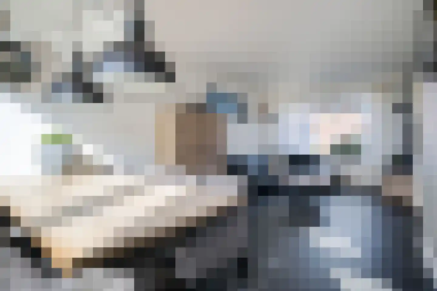 Dahliastraat 33 Hoogkarspel thumbnail 4
