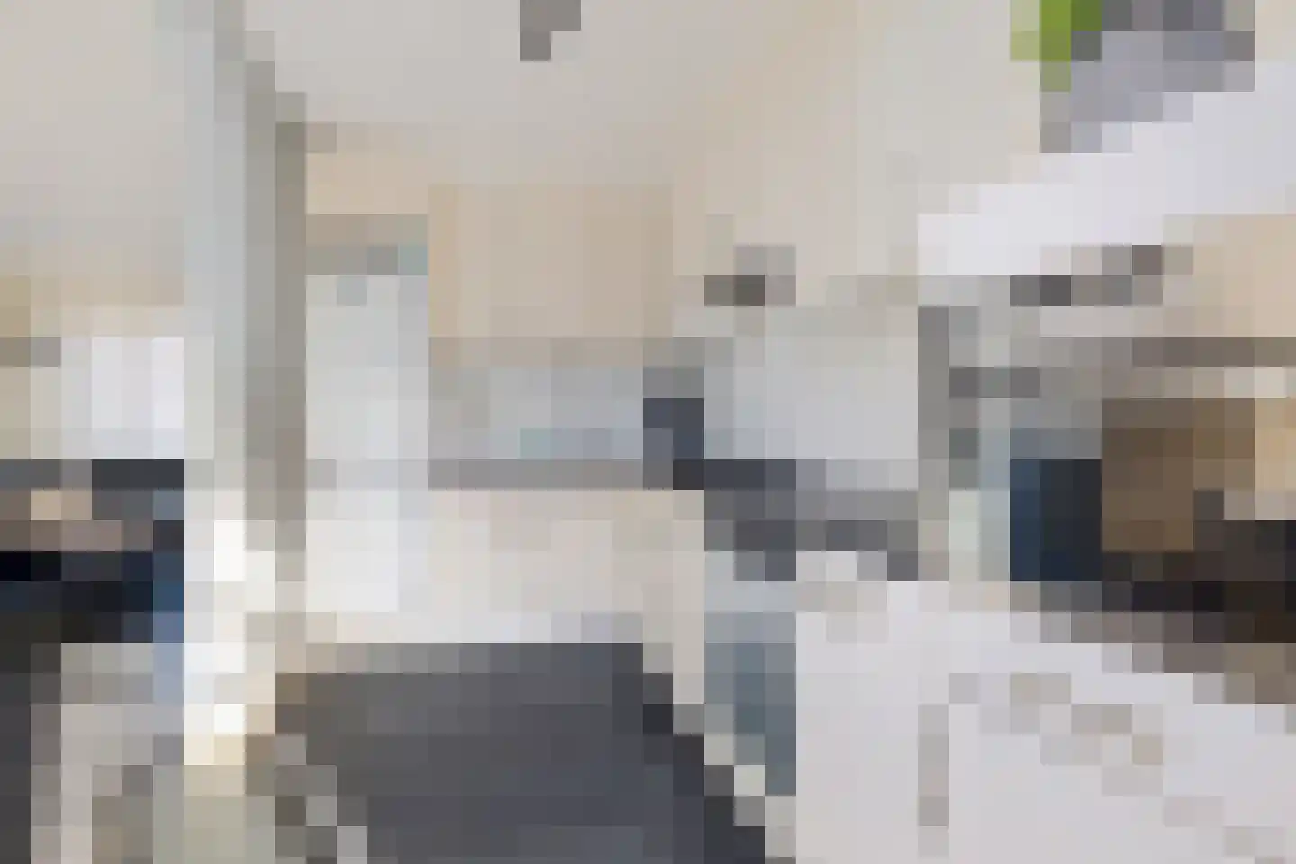 Dahliastraat 33 Hoogkarspel thumbnail 7