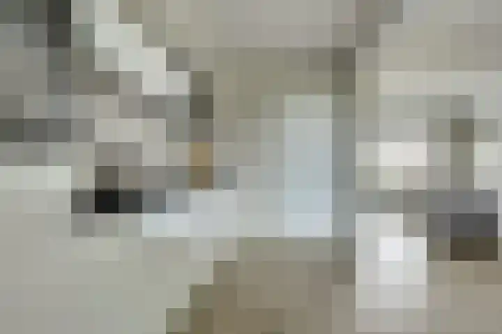 Dahliastraat 34 Hoogkarspel thumbnail 11