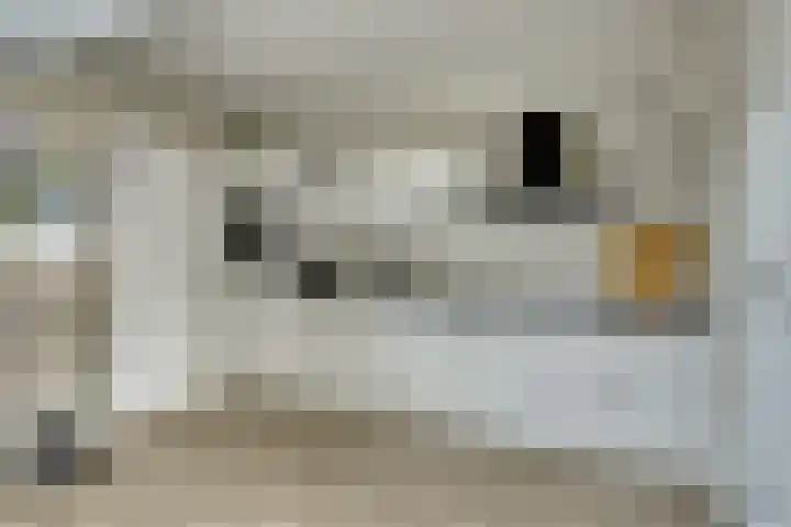 Dahliastraat 34 Hoogkarspel thumbnail 12