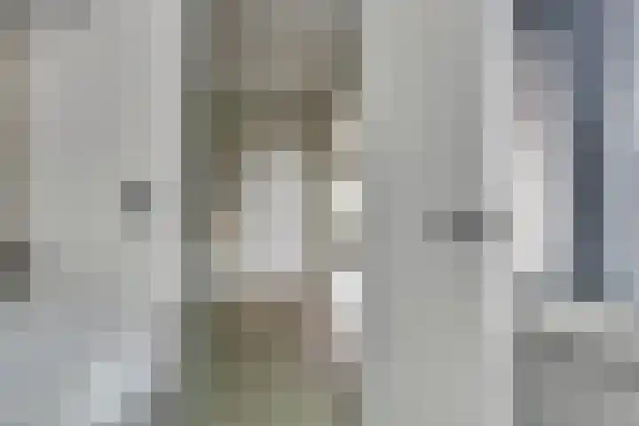 Dahliastraat 34 Hoogkarspel thumbnail 13