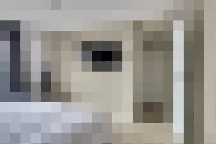 Dahliastraat 34 Hoogkarspel thumbnail 21
