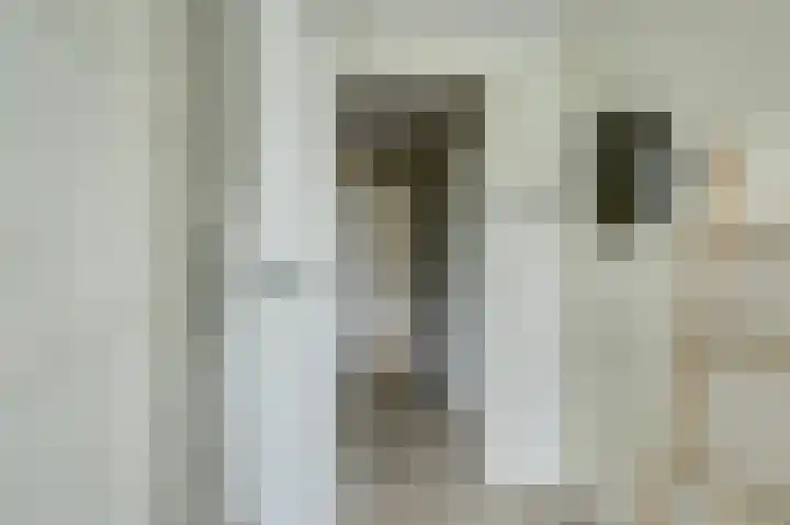 Dahliastraat 34 Hoogkarspel thumbnail 23