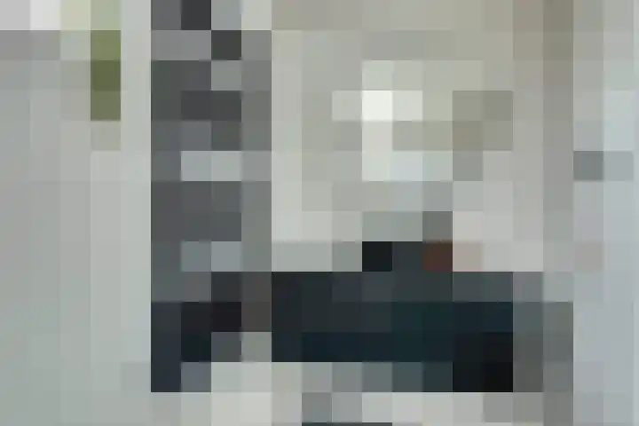 Dahliastraat 34 Hoogkarspel thumbnail 25