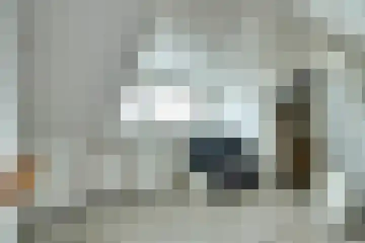Dahliastraat 34 Hoogkarspel thumbnail 28