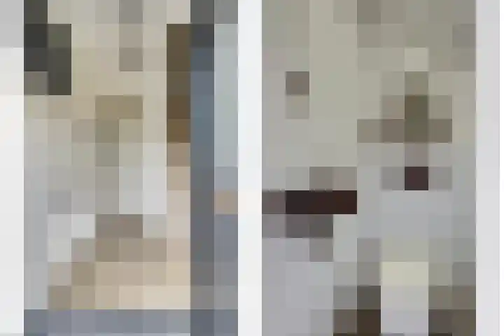 Dahliastraat 34 Hoogkarspel thumbnail 6