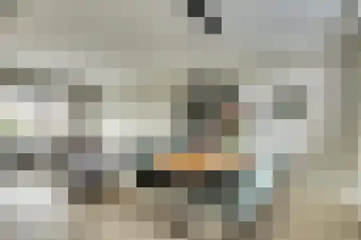 Dahliastraat 34 Hoogkarspel thumbnail 9