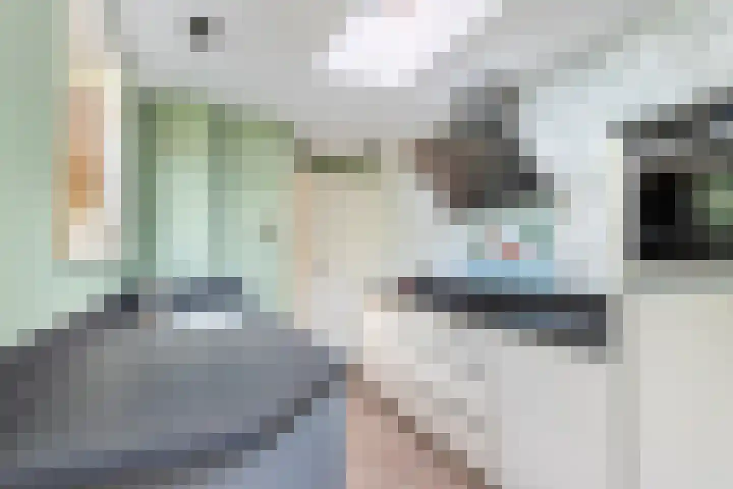 Dahliastraat 34 Woerden thumbnail 17