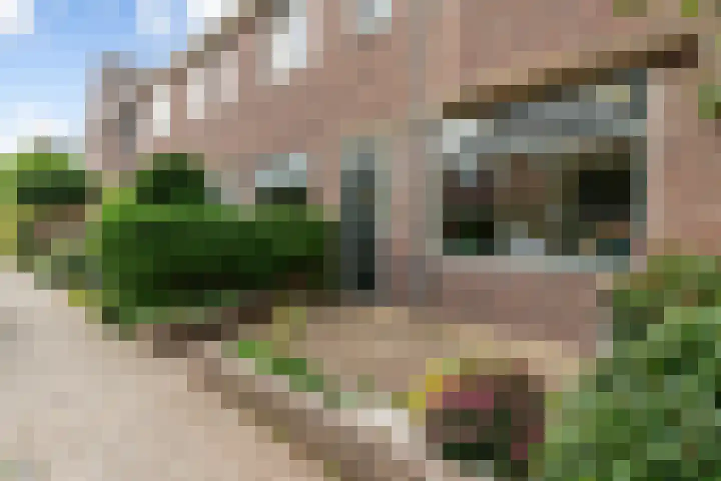 Dahliastraat 34 Woerden thumbnail 5