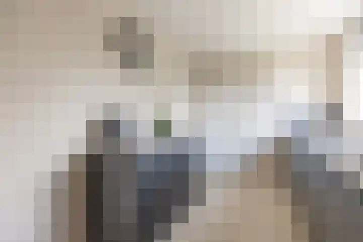 Dahliastraat 35 Wernhout thumbnail 10