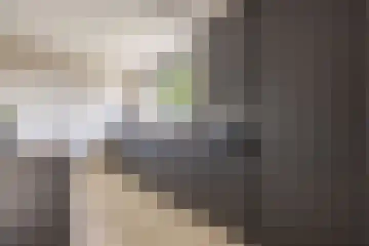 Dahliastraat 35 Wernhout thumbnail 11