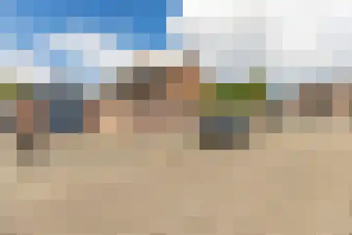 Dahliastraat 35 Wernhout thumbnail 28