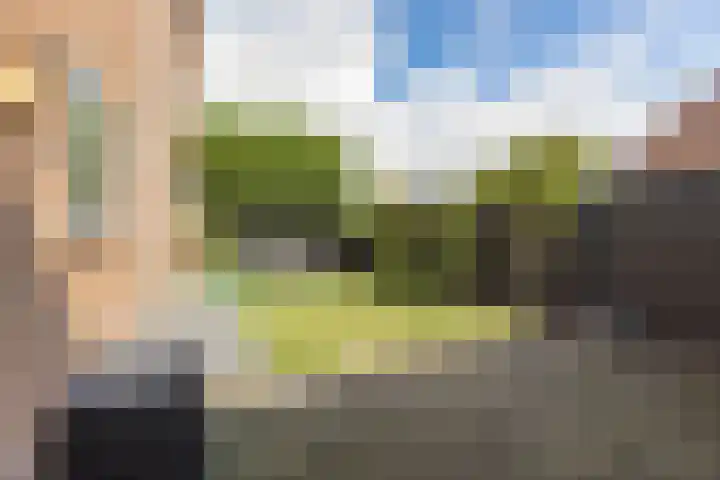Dahliastraat 35 Wernhout thumbnail 30