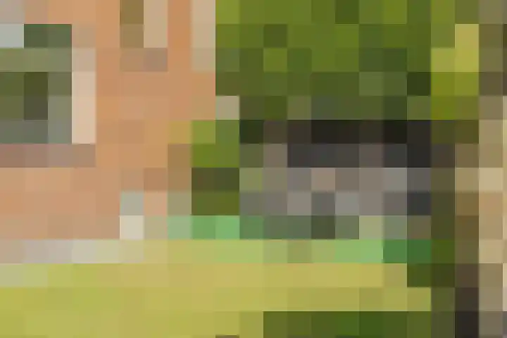 Dahliastraat 35 Wernhout thumbnail 31