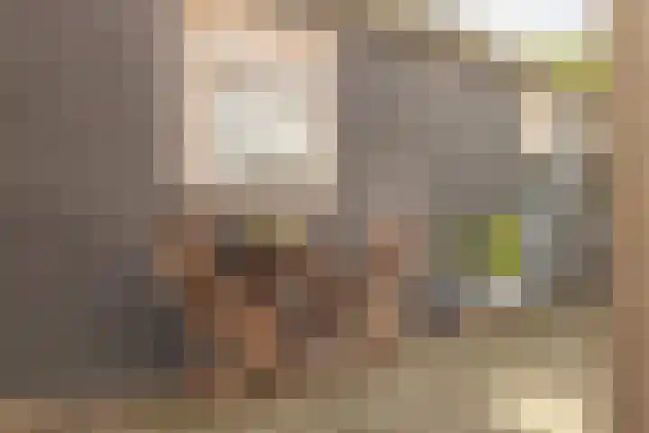 Dahliastraat 35 Wernhout thumbnail 34