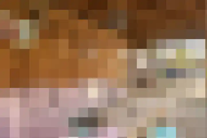 Dahliastraat 35 Wernhout thumbnail 37