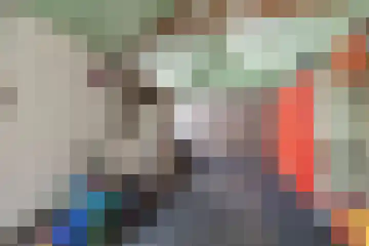Dahliastraat 35 Wernhout thumbnail 39