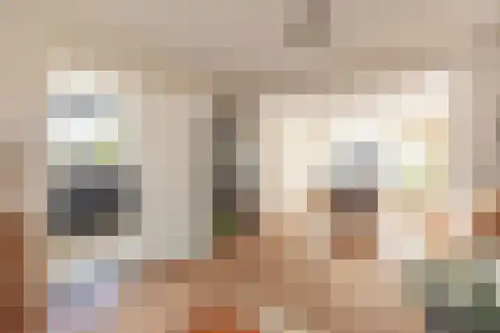 Dahliastraat 35 Wernhout thumbnail 4