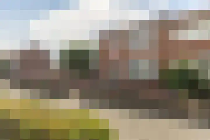 Dahliastraat 35 Wernhout thumbnail 43