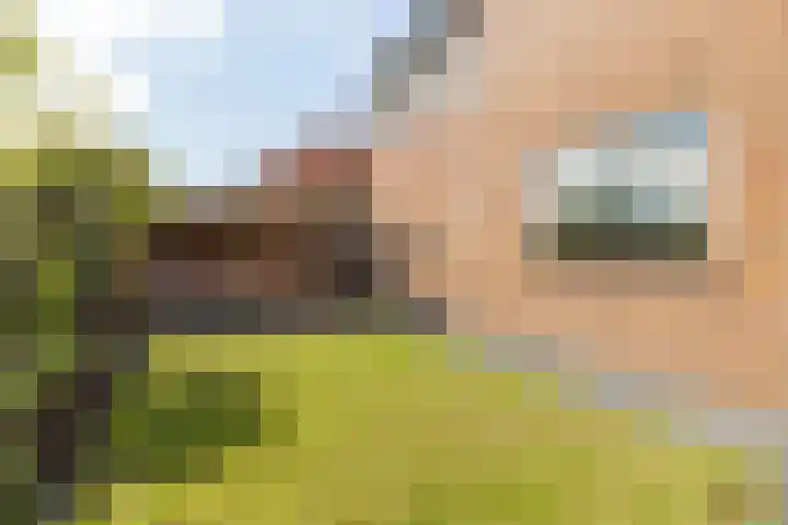 Dahliastraat 35 Wernhout thumbnail 6