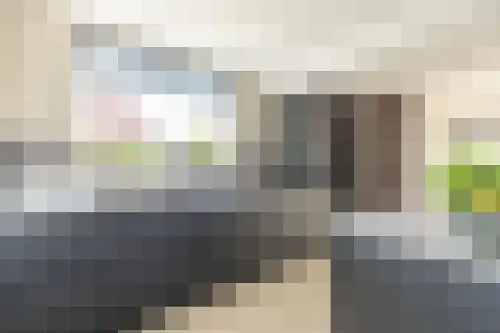 Dahliastraat 35 Wernhout thumbnail 8
