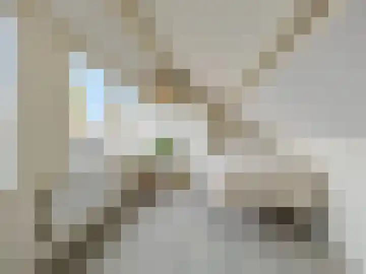 Dahliastraat 36 Eerbeek thumbnail 24