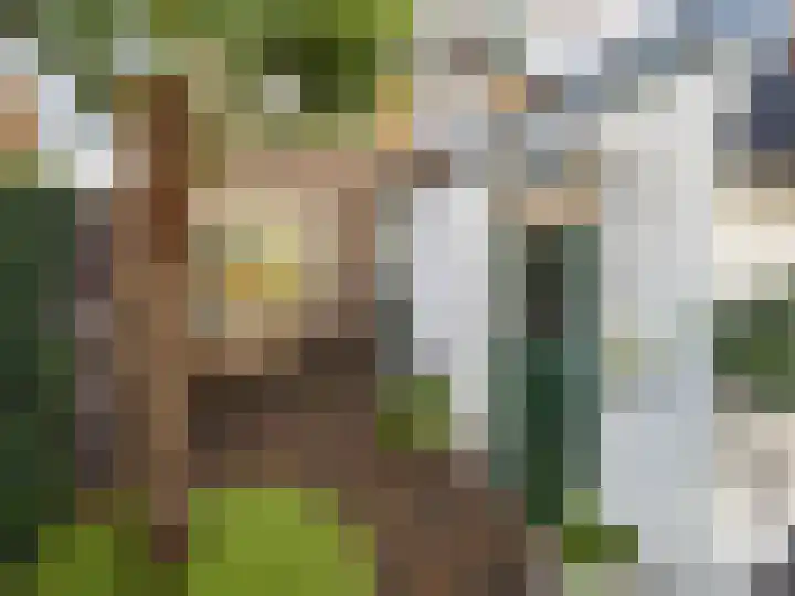Dahliastraat 36 Eerbeek thumbnail 28