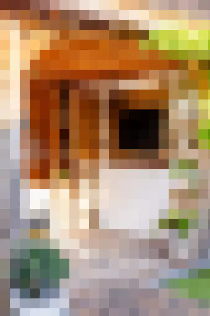 Dahliastraat 36 Eerbeek thumbnail 36