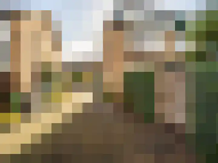 Dahliastraat 36 Eerbeek thumbnail 38