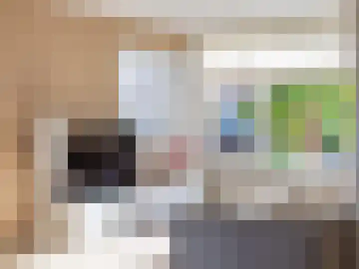 Dahliastraat 36 Eerbeek thumbnail 7