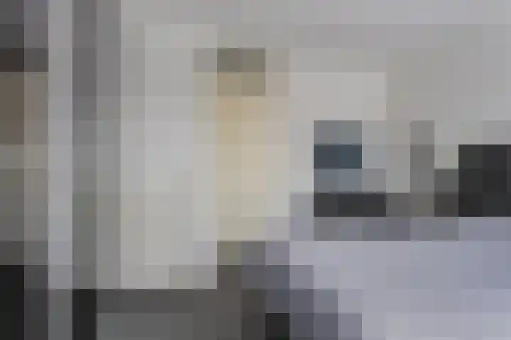 Dahliastraat 38 A Rotterdam thumbnail 16