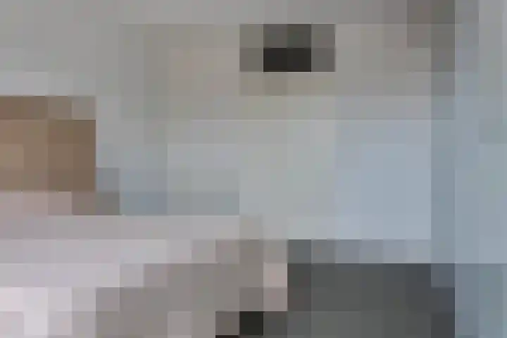Dahliastraat 38 A Rotterdam thumbnail 23