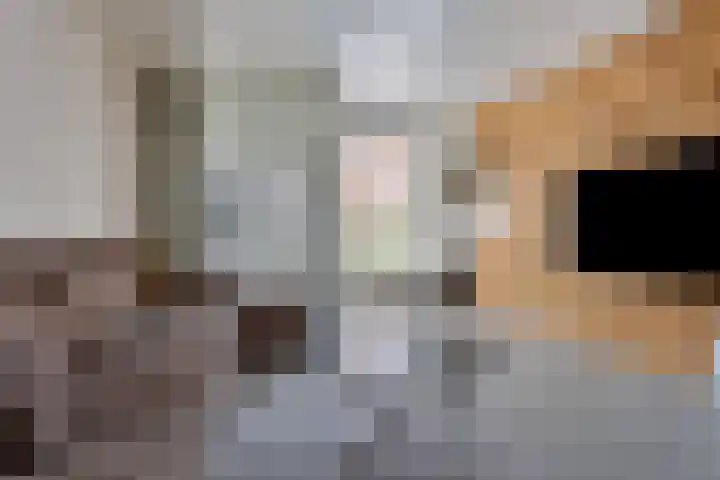 Dahliastraat 38 A Rotterdam thumbnail 4