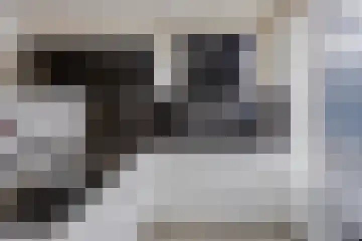 Dahliastraat 38 A Rotterdam thumbnail 7