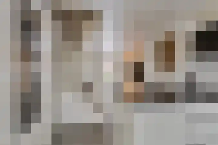 Dahliastraat 38 A Rotterdam thumbnail 8