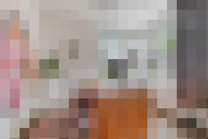 Dahliastraat 38 F Made thumbnail 15