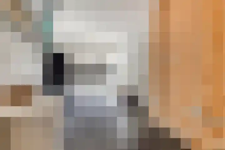 Dahliastraat 38 F Made thumbnail 18
