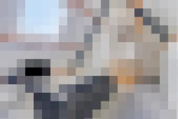 Dahliastraat 38 F Made thumbnail 34