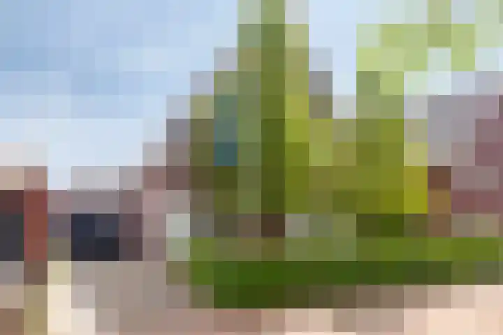Dahliastraat 38 F Made thumbnail 4