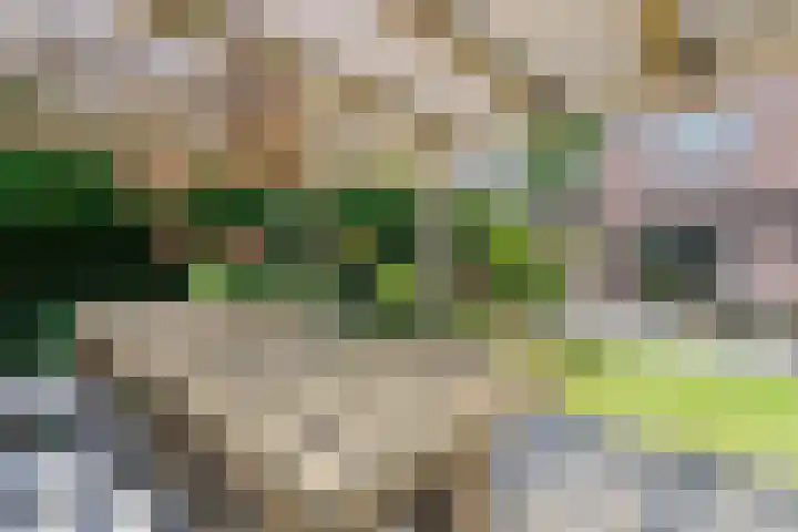 Dahliastraat 38 F Made thumbnail 40