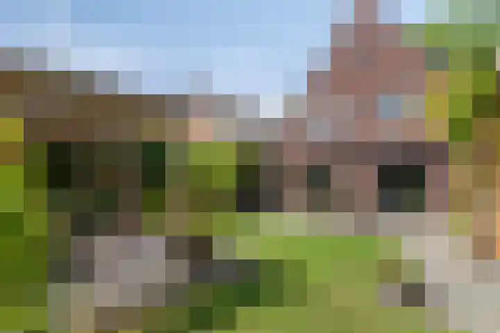 Dahliastraat 38 F Made thumbnail 42