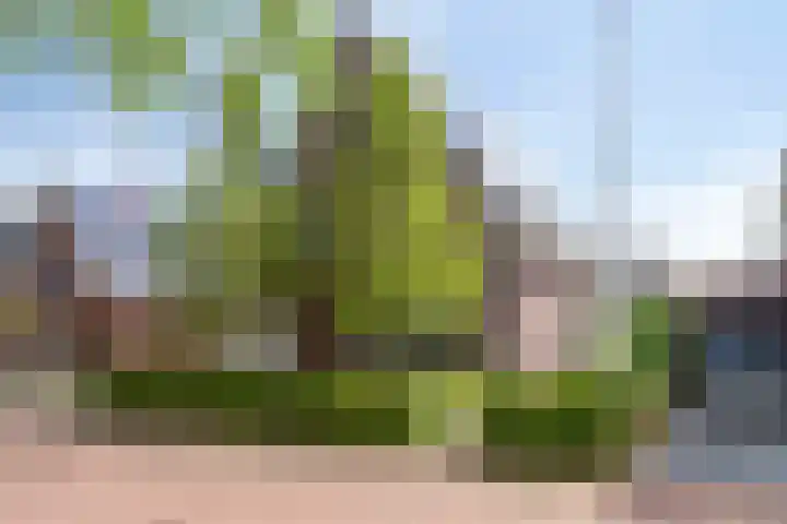 Dahliastraat 38 F Made thumbnail 44