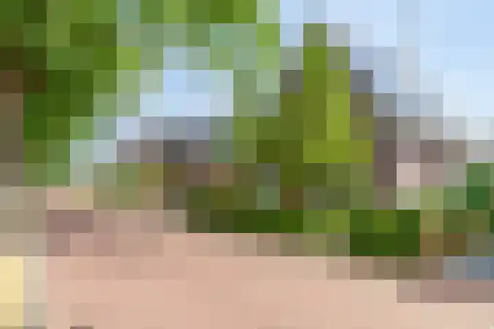 Dahliastraat 38 F Made thumbnail 5