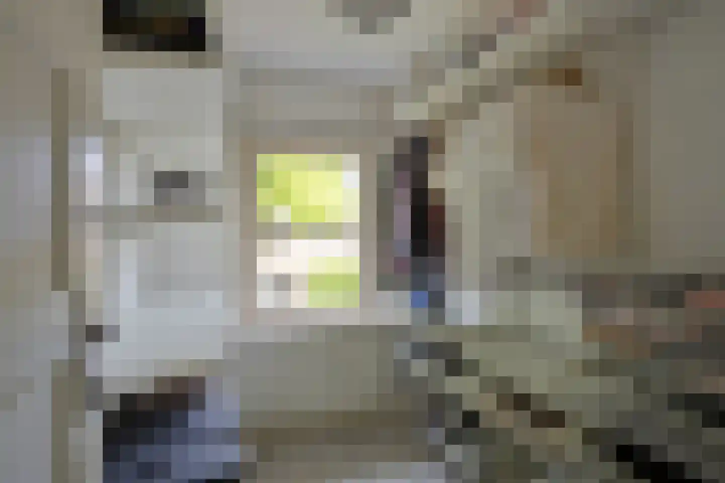 Dahliastraat 39 Koog aan de Zaan thumbnail 33