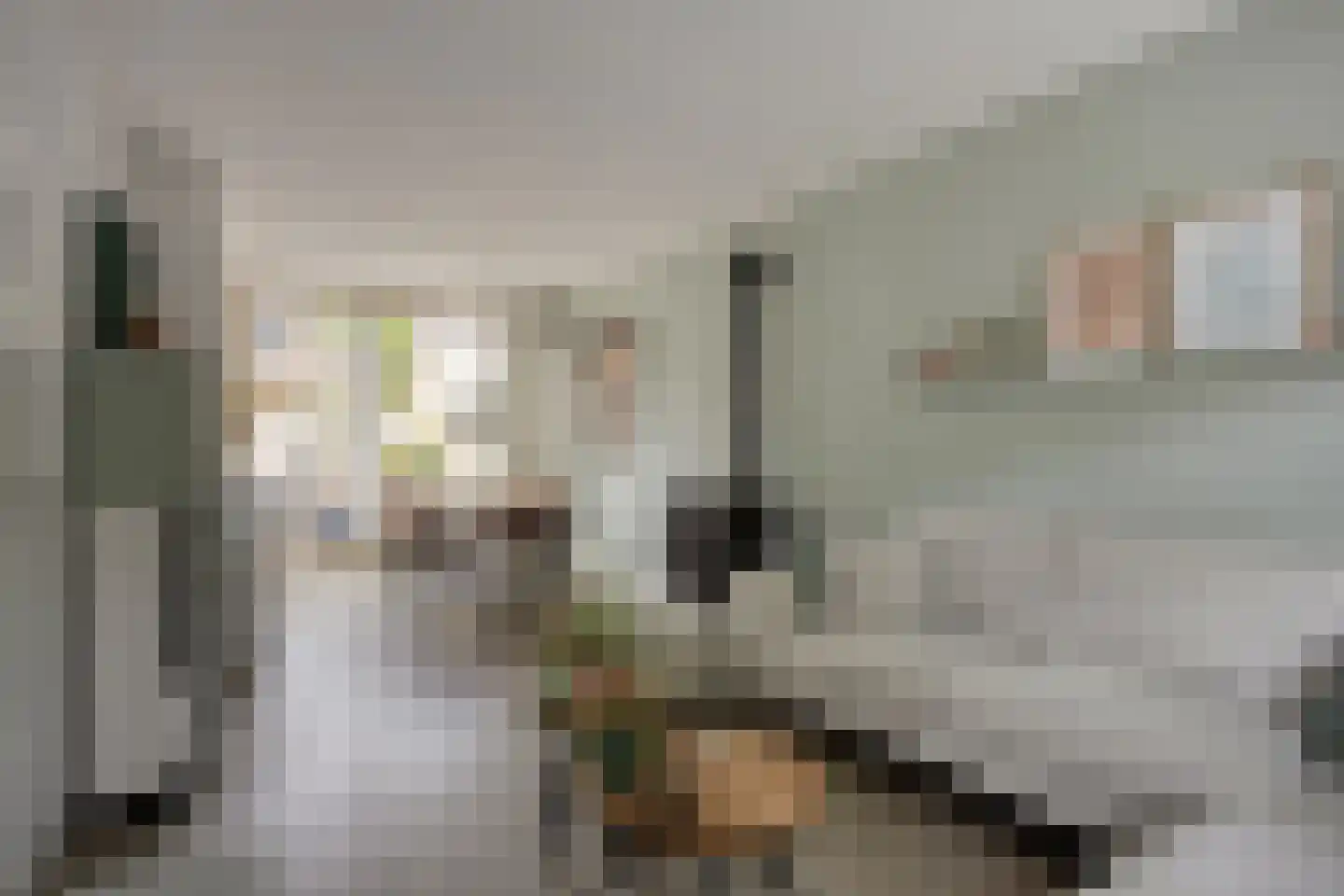 Dahliastraat 39 Koog aan de Zaan thumbnail 4