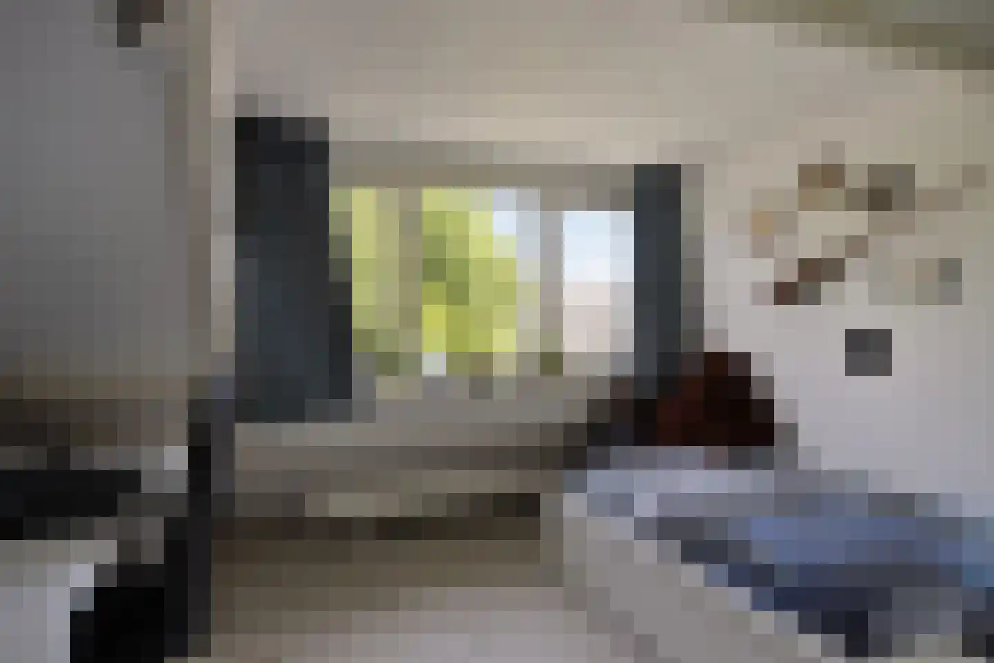 Dahliastraat 39 Koog aan de Zaan thumbnail 40